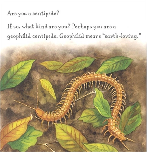 are you a centipede? (backyard books) - Ảnh 3