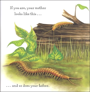 are you a centipede? (backyard books) - Ảnh 4