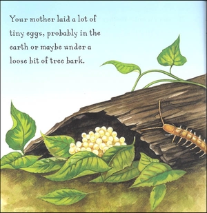 are you a centipede? (backyard books) - Ảnh 5