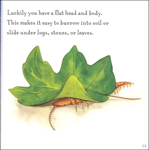 are you a centipede? (backyard books) - Ảnh 7