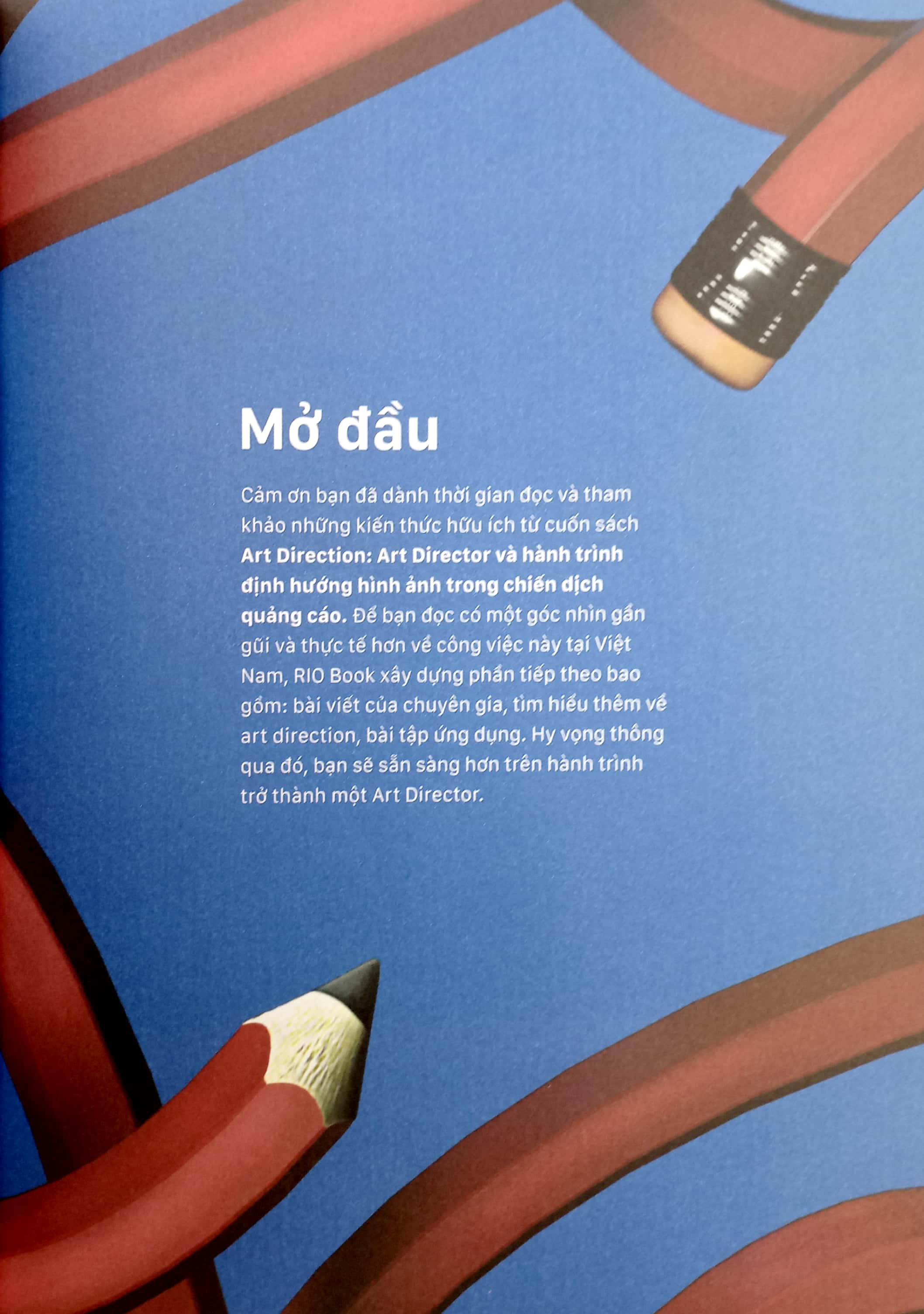 art direction - art director và hành trình định hướng hình ảnh trong chiến dịch quảng cáo - Ảnh 6