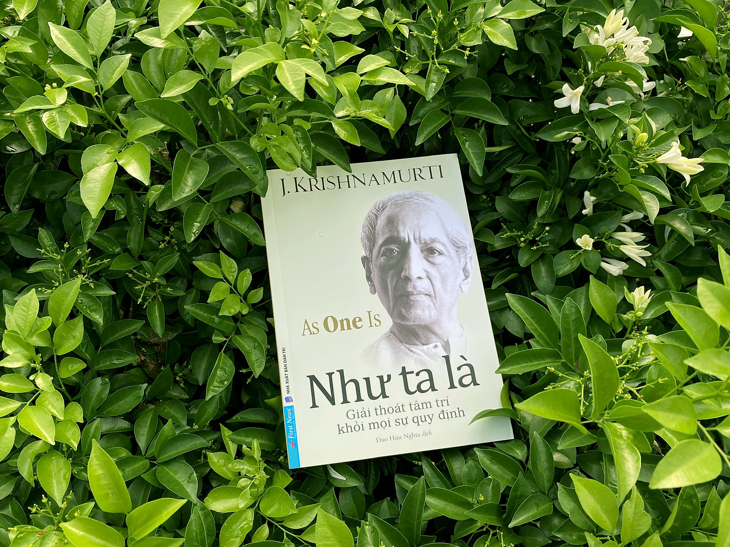 as one is - như ta là - Ảnh 3