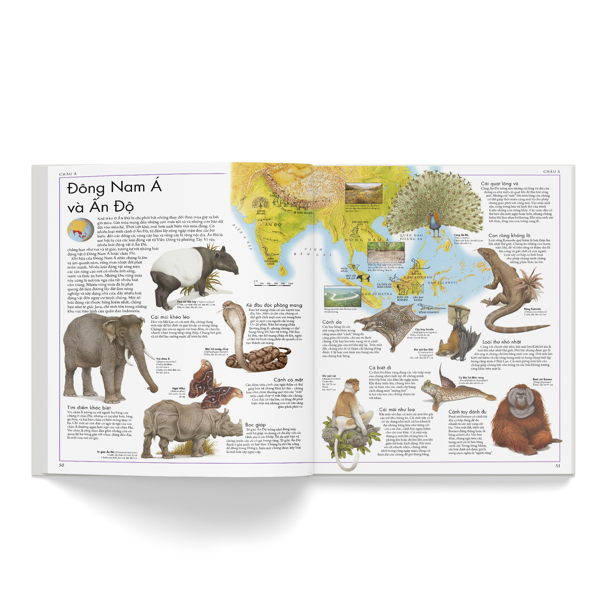 atlas động vật - bách khoa bằng hình về các loài động vật hoang dã trên thế giới - Ảnh 5