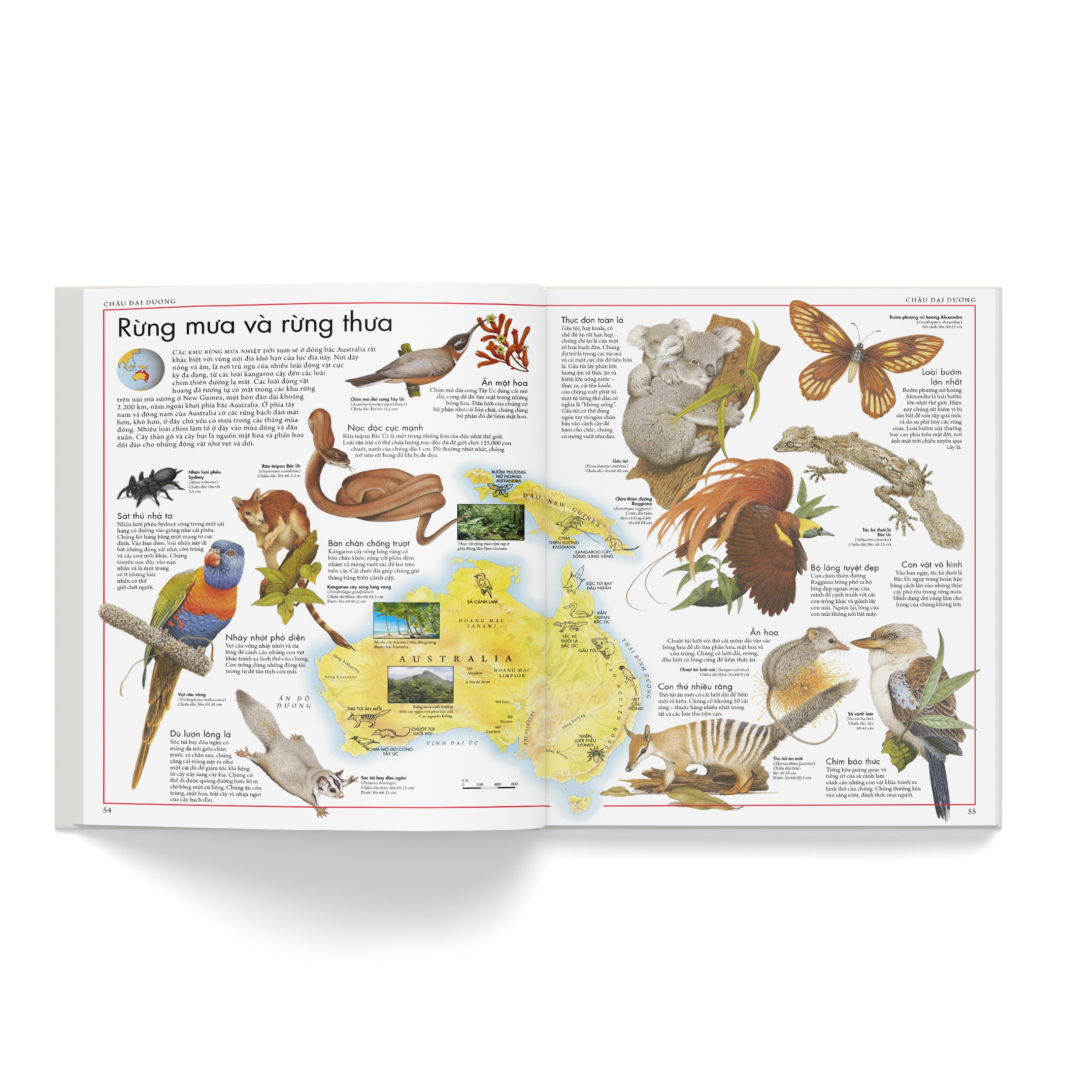 atlas động vật - bách khoa bằng hình về các loài động vật hoang dã trên thế giới - Ảnh 6