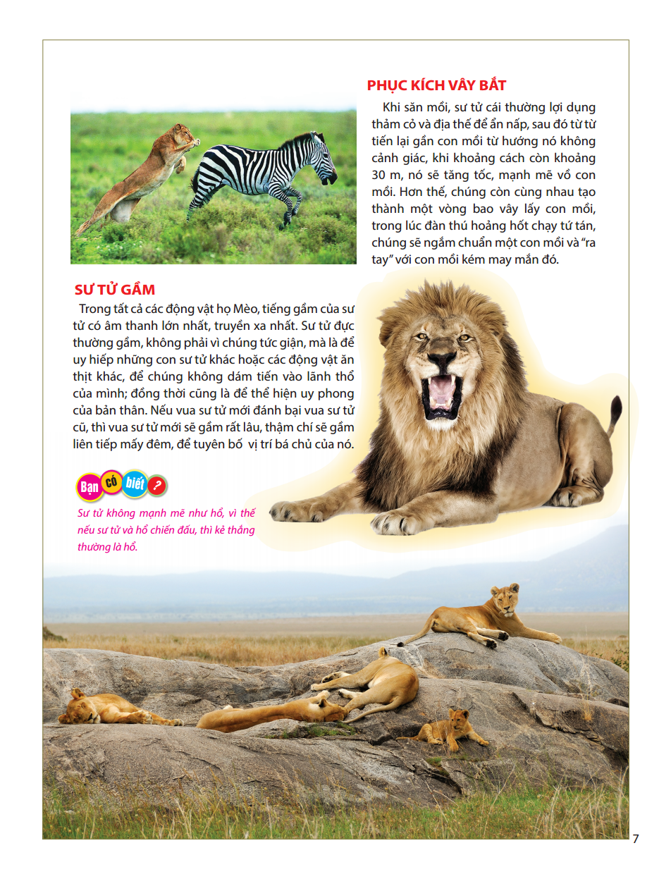 atlas động vật - vương quốc động vật - bìa cứng (tái bản 2023) - Ảnh 10