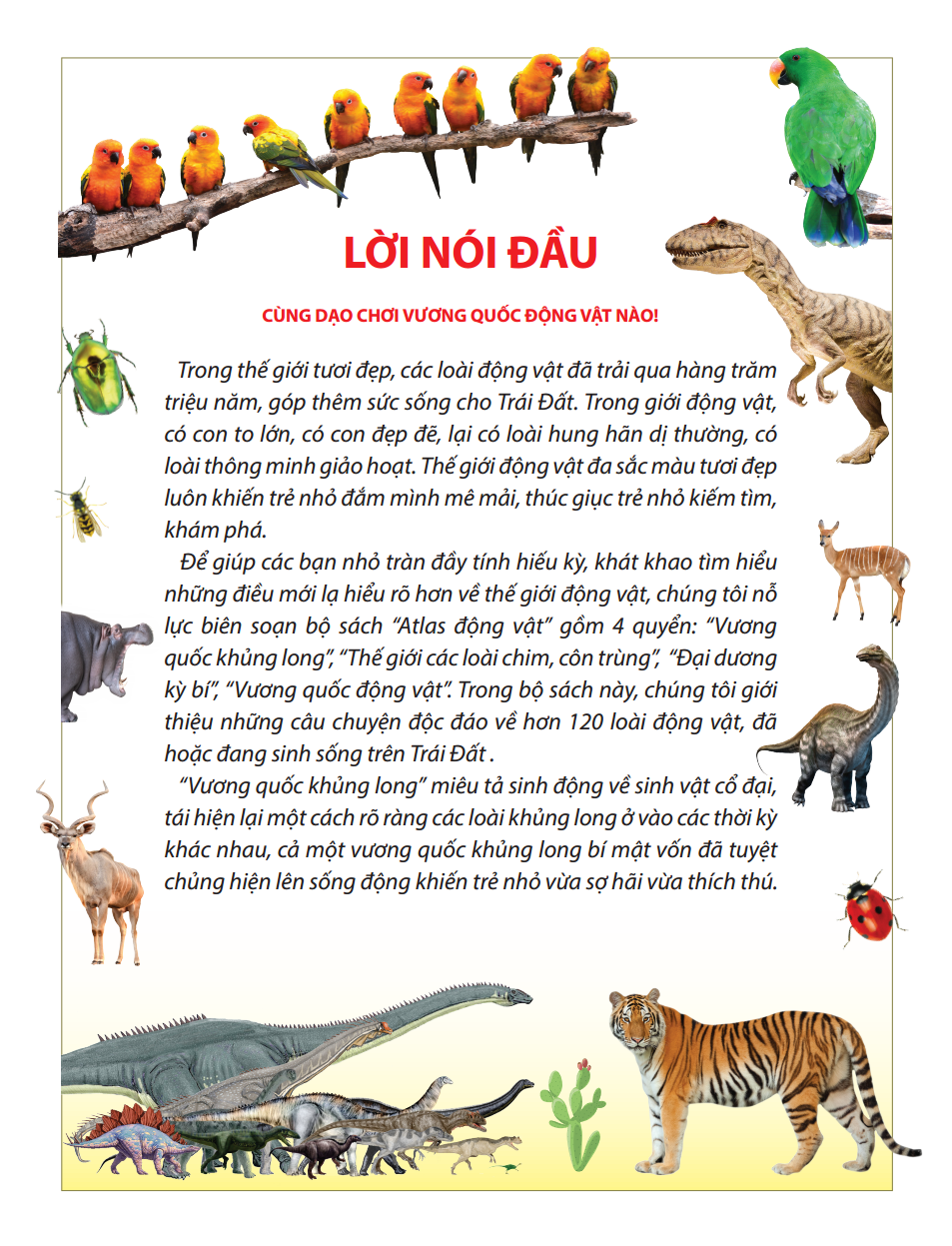 atlas động vật - vương quốc động vật - bìa cứng (tái bản 2023) - Ảnh 3