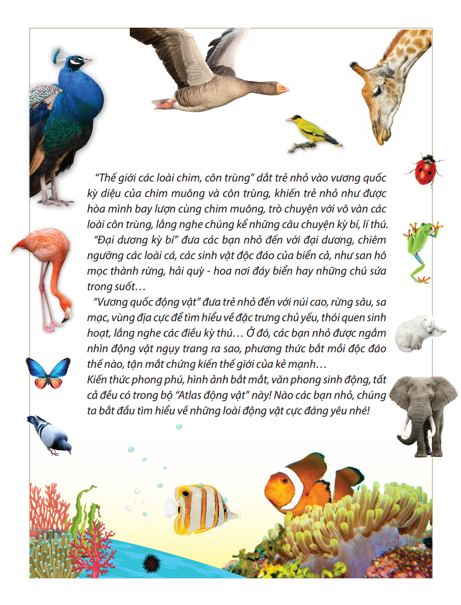 atlas động vật - vương quốc động vật - bìa cứng (tái bản 2023) - Ảnh 6