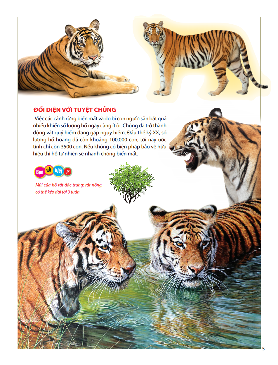 atlas động vật - vương quốc động vật - bìa cứng (tái bản 2023) - Ảnh 8