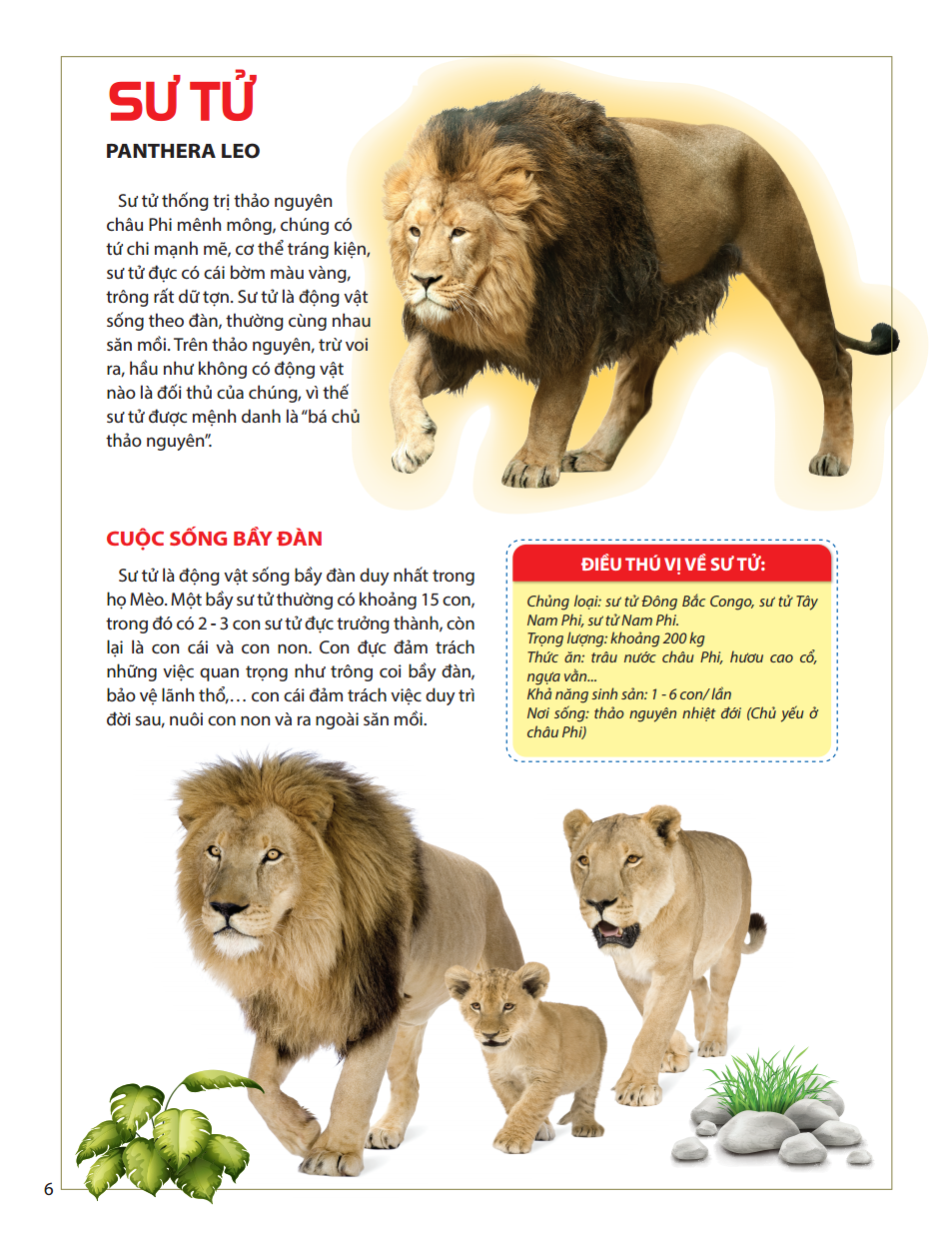 atlas động vật - vương quốc động vật - bìa cứng (tái bản 2023) - Ảnh 9