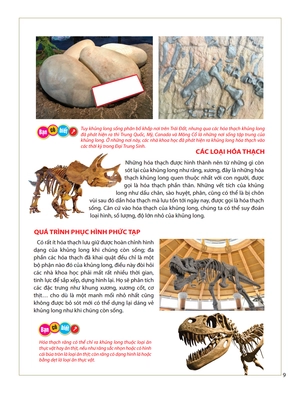 atlas động vật - vương quốc khủng long - Ảnh 11