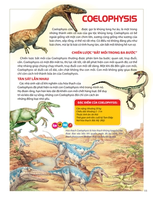 atlas động vật - vương quốc khủng long - Ảnh 12