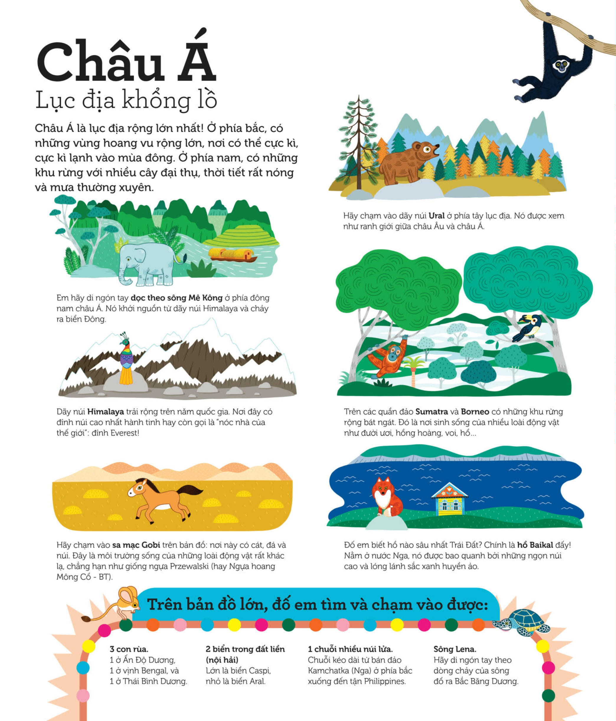 atlas thế giới - tập bản đồ tương tác - ngắm lục địa - chạm núi sông - nhớ địa danh - bài cứng - Ảnh 4