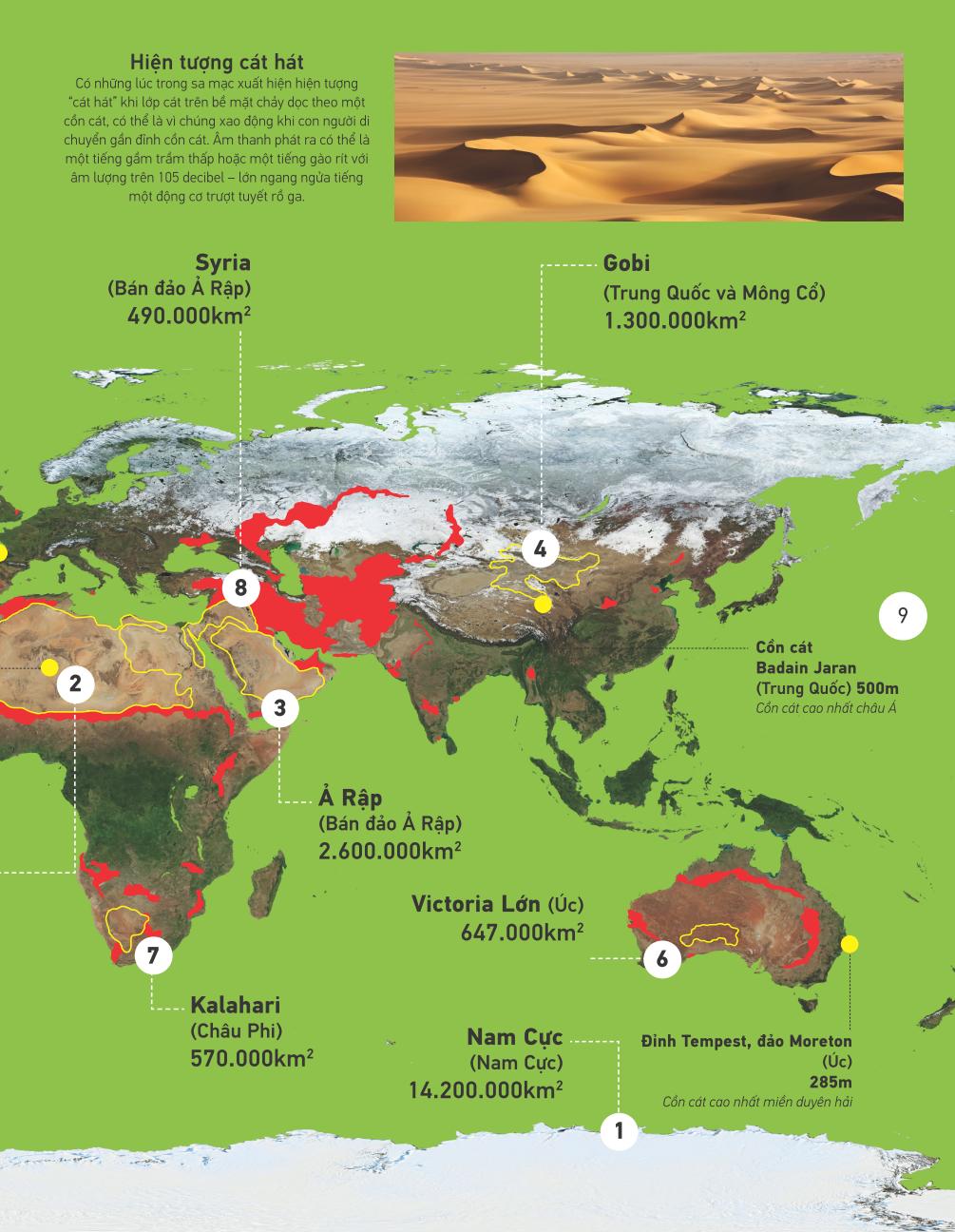 atlas vạn vật - atlas of everything - Ảnh 10