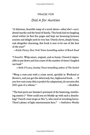 aunties 1: dial a for aunties - Ảnh 2