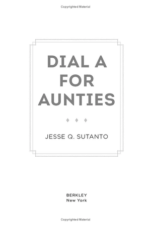 aunties 1: dial a for aunties - Ảnh 3