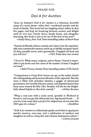 aunties 2: four aunties and a wedding - Ảnh 2