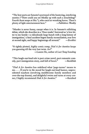 aunties 2: four aunties and a wedding - Ảnh 3