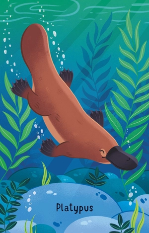 australian animals snap - Ảnh 4