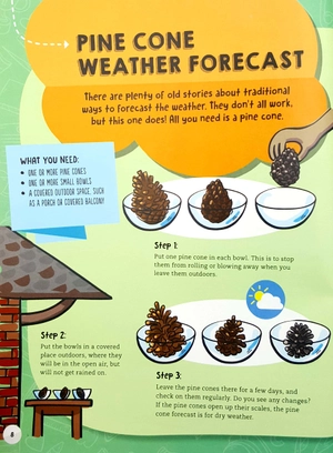 autumn (steam through the seasons) - Ảnh 7
