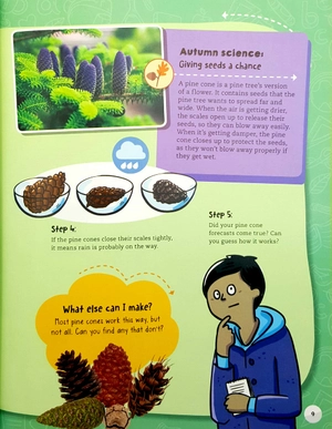 autumn (steam through the seasons) - Ảnh 8