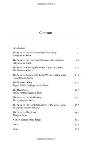 awakening of the heart : essential buddhist sutras and commentaries - Ảnh 7