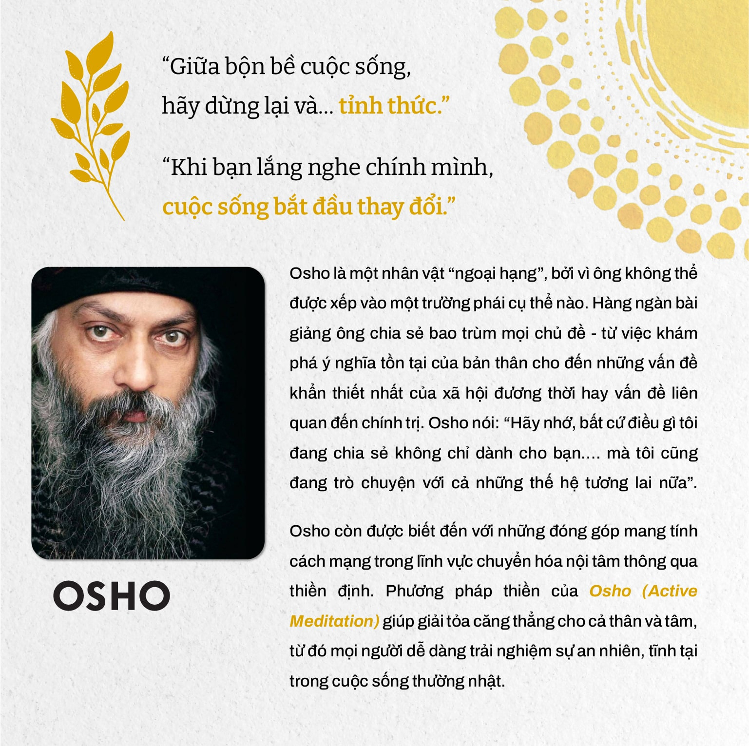 Awareness - The Key To Living In Balance - Tỉnh Thức - Bí Quyết Cân Bằng Cuộc Sống - Ảnh 5