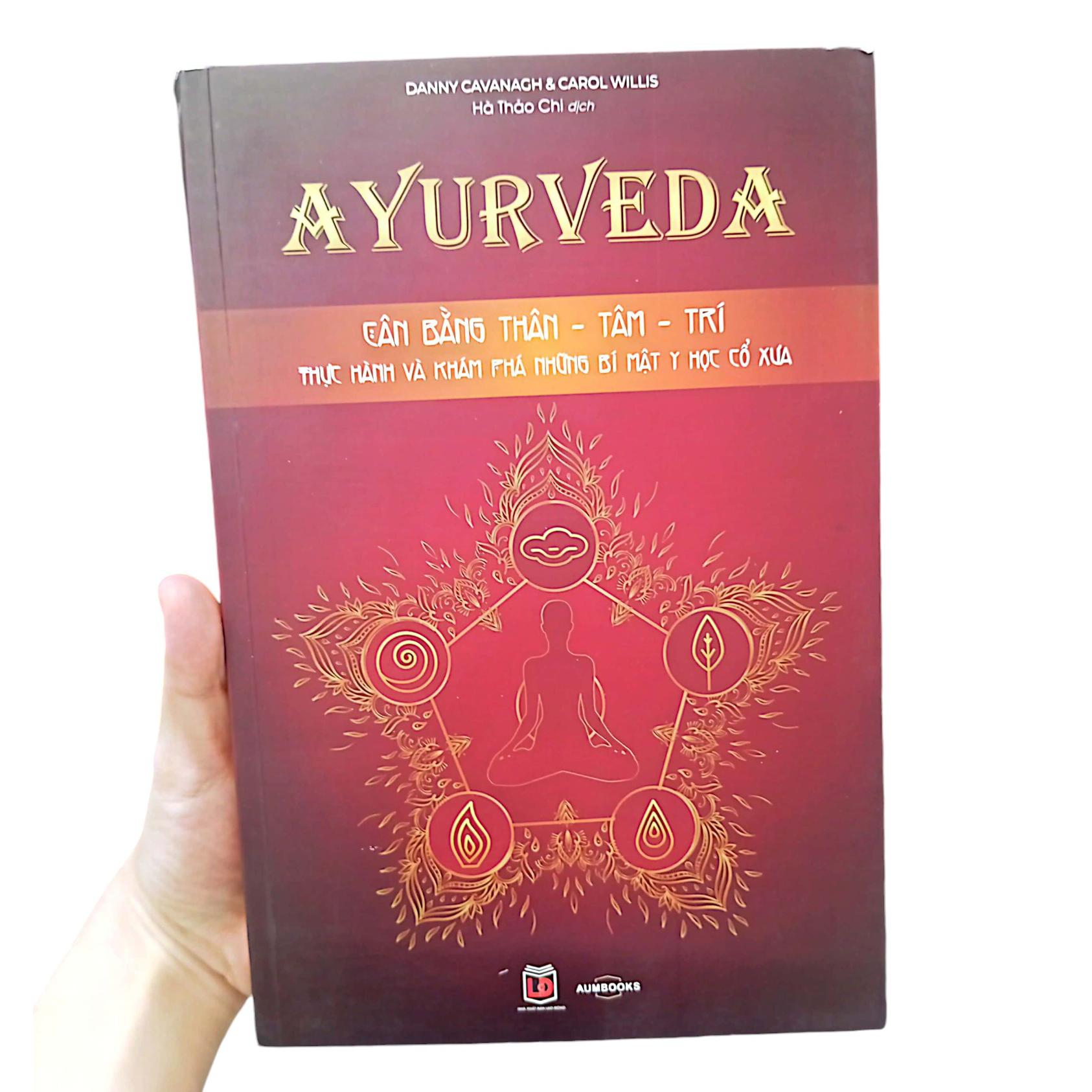ayurveda - cân bằng thân-tâm-trí - thực hành và khám phá những bí mật y học cổ xưa - Ảnh 13