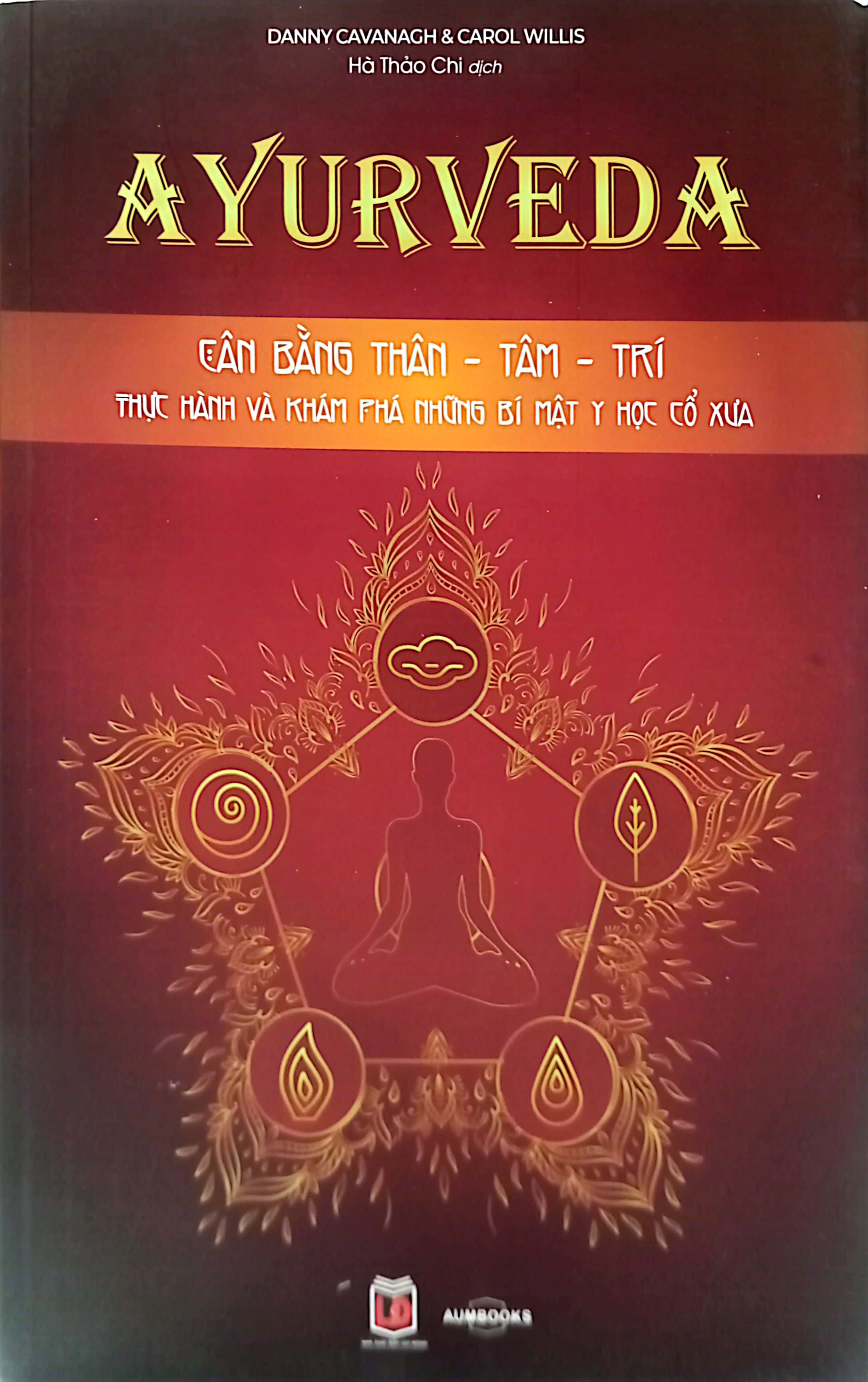 ayurveda - cân bằng thân-tâm-trí - thực hành và khám phá những bí mật y học cổ xưa - Ảnh 2