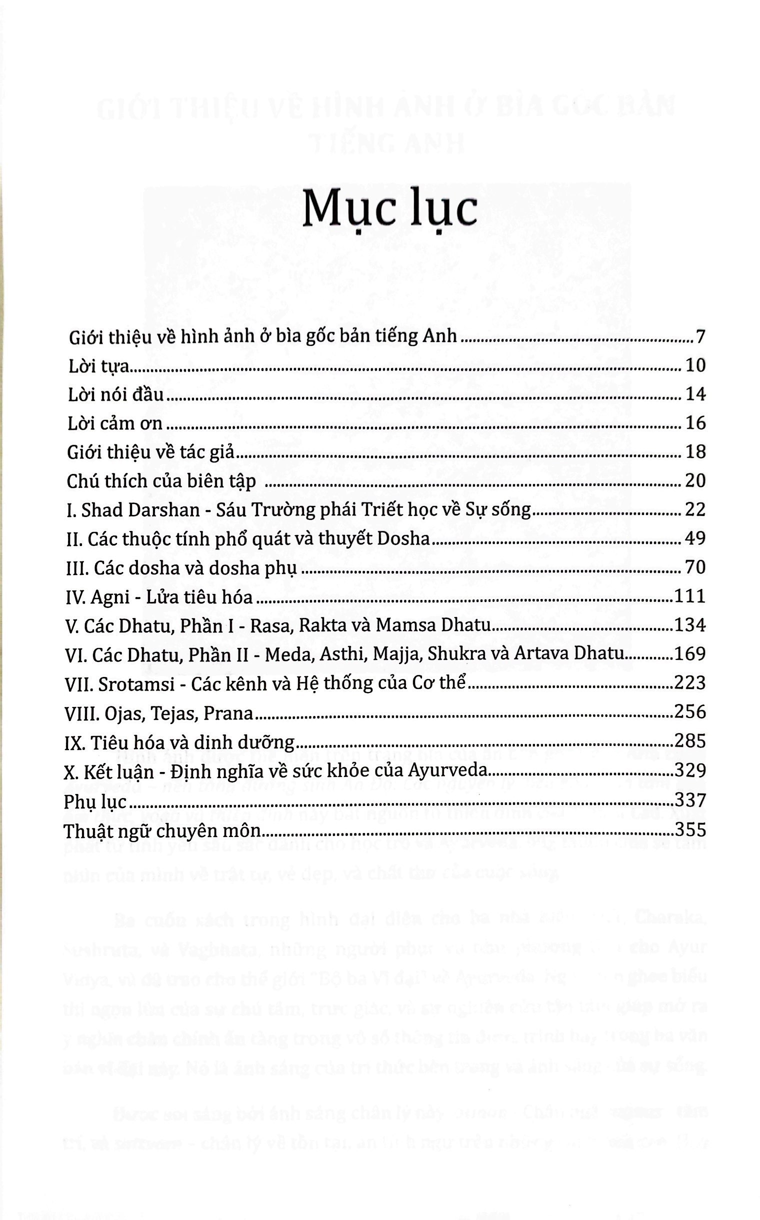 ayurveda - nền tảng dưỡng sinh ấn độ - Ảnh 3