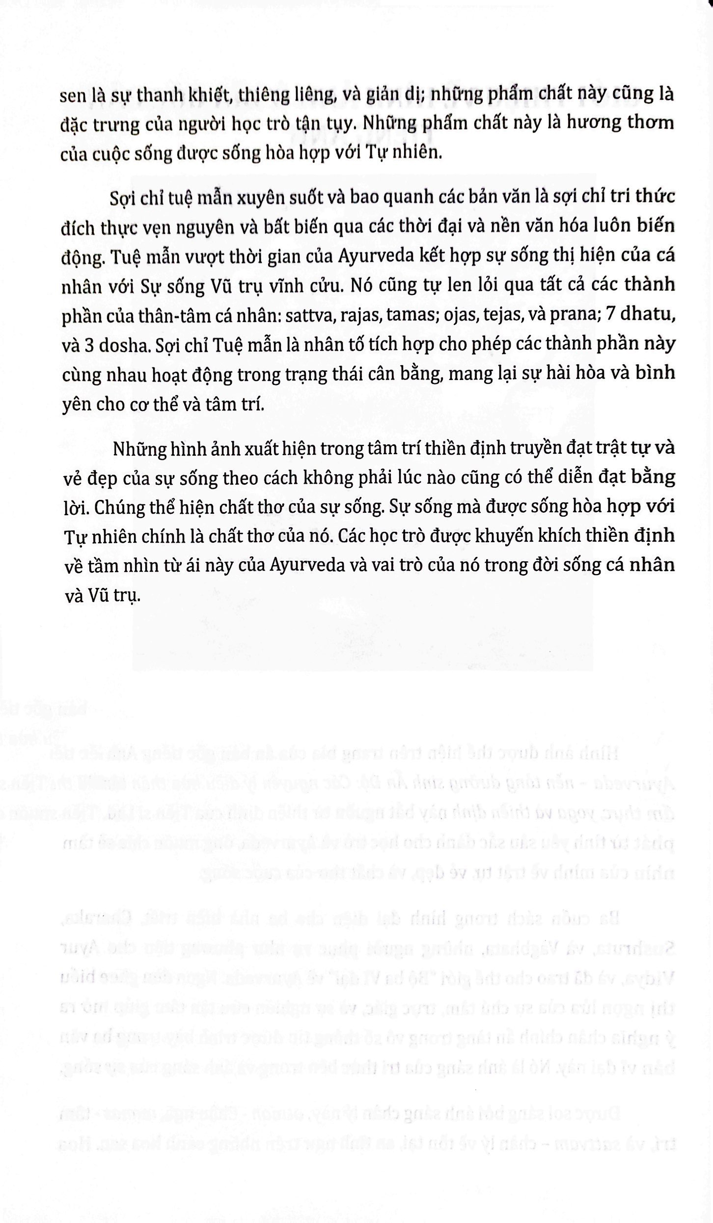 ayurveda - nền tảng dưỡng sinh ấn độ - Ảnh 5
