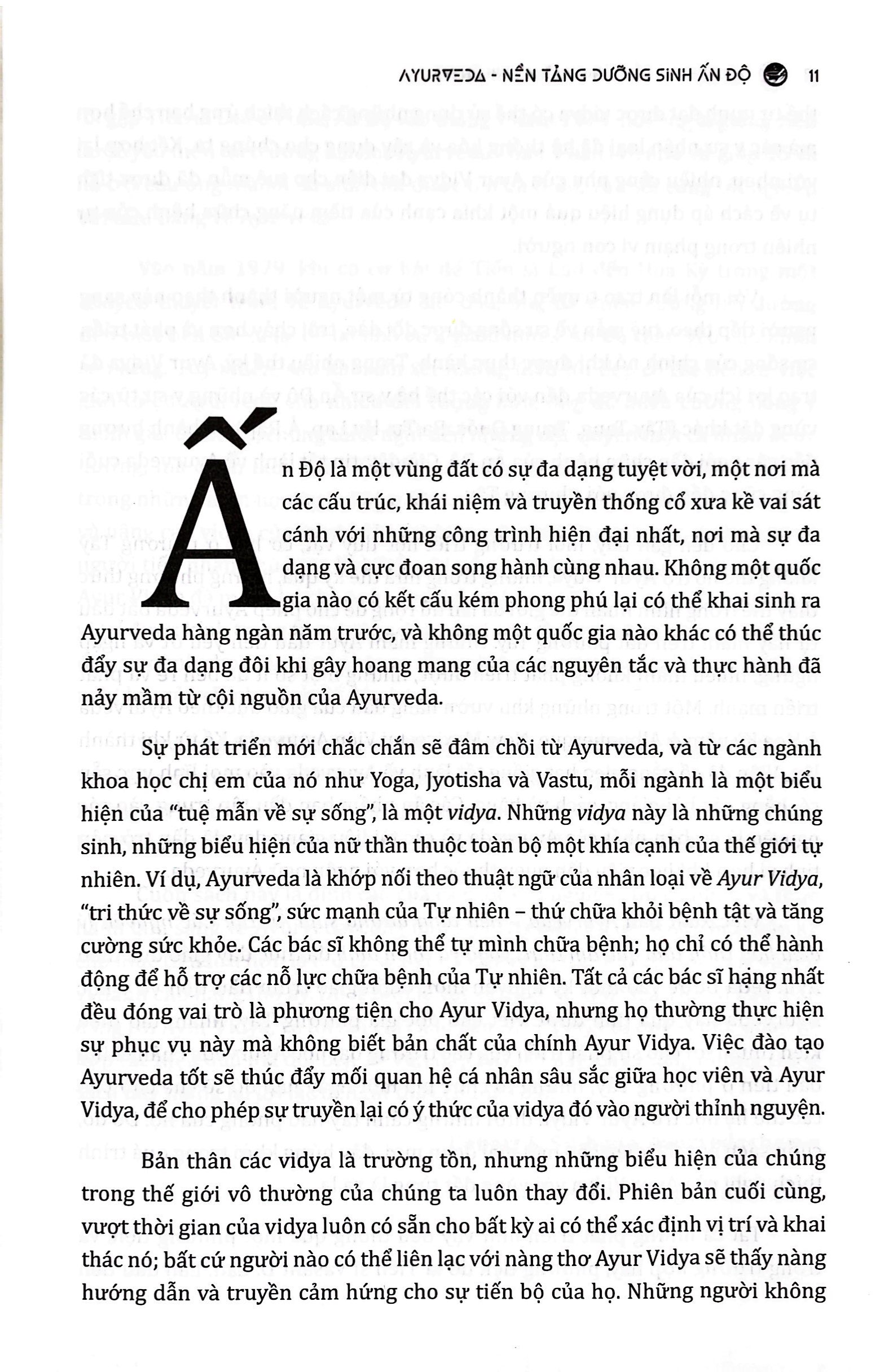ayurveda - nền tảng dưỡng sinh ấn độ - Ảnh 7