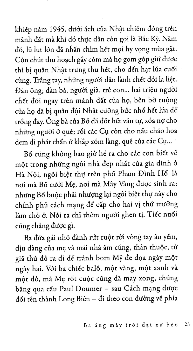 ba áng mây trôi dạt xứ bèo - Ảnh 16