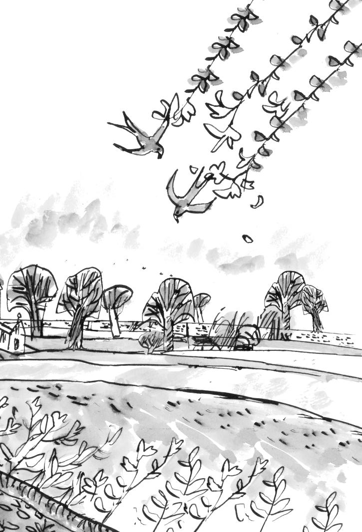 bà bác khủng khiếp - Ảnh 8