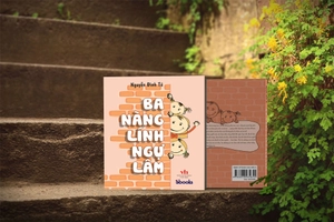 ba nàng lính ngự lâm - Ảnh 4