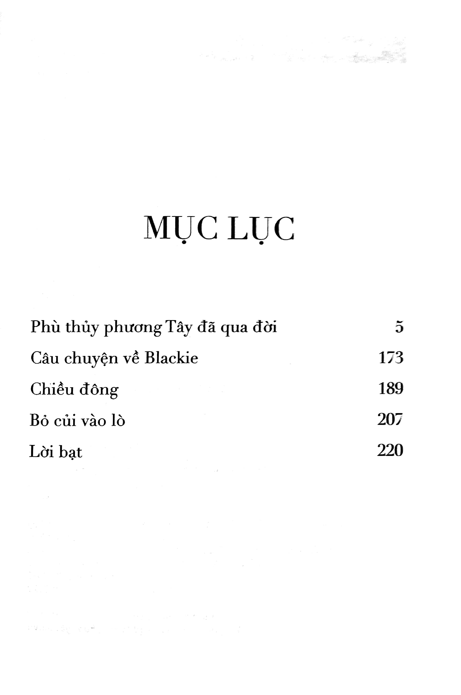 bà ngoại phù thủy và mùa hè tập sự - nishi no majo ga shinda - Ảnh 5