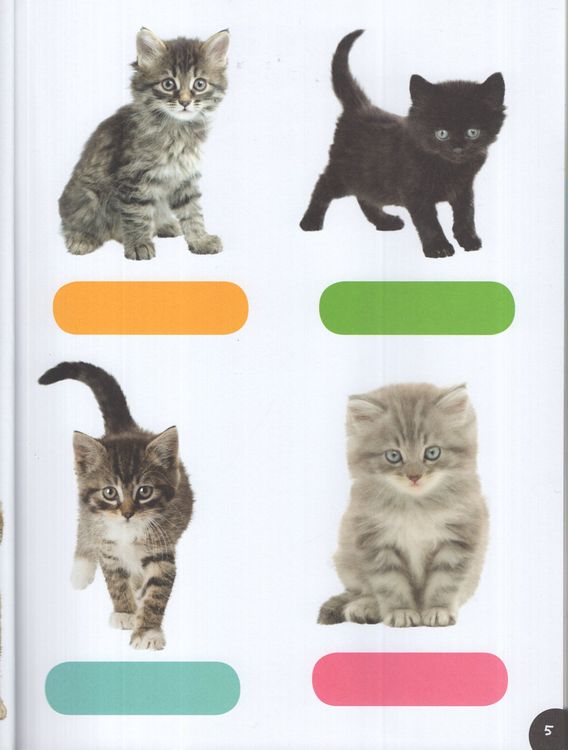 Baby Animals Sticker Activities - Ảnh 6