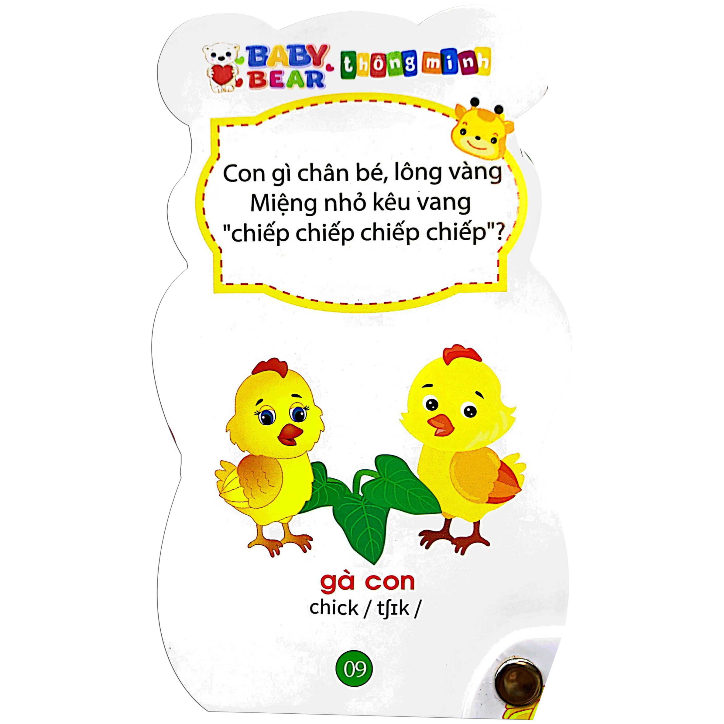 baby bear thông minh dành cho trẻ mầm non - động vật - Ảnh 6