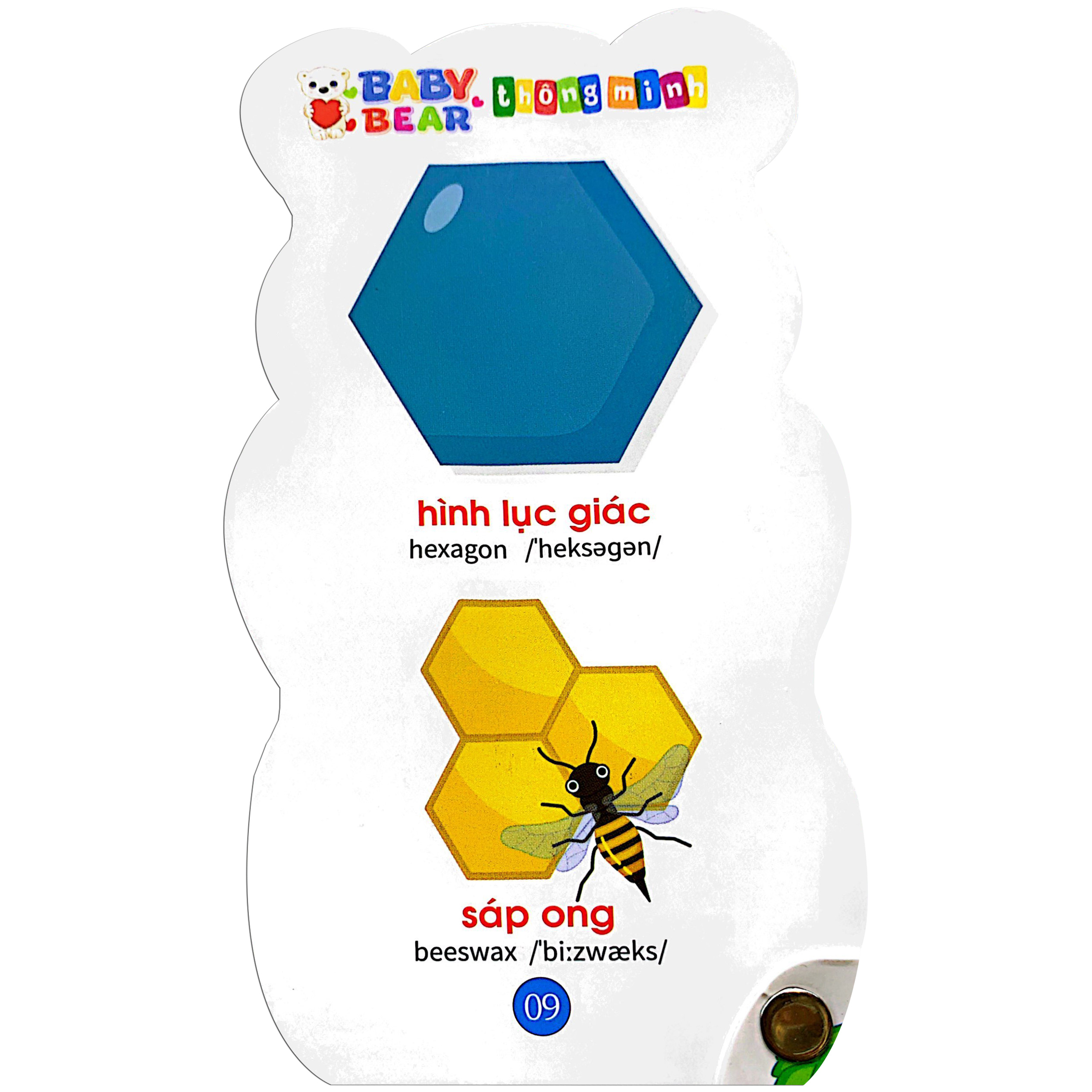 baby bear thông minh dành cho trẻ mầm non - hình dạng và màu sắc - Ảnh 5