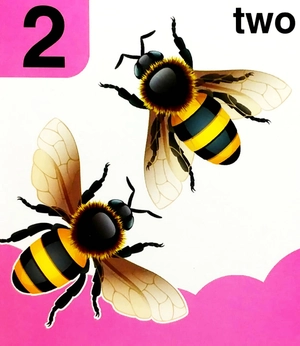 babyℹs mini books: 123 - Ảnh 7