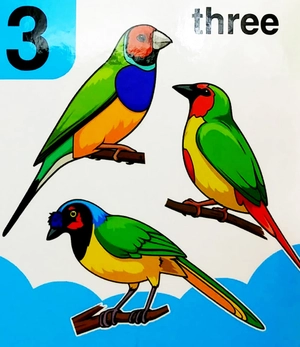 babyℹs mini books: 123 - Ảnh 8