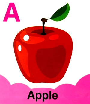 babyℹs mini books: abc upper case - Ảnh 3