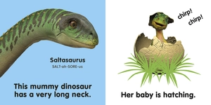 baby touch and feel: baby dinosaur - Ảnh 3