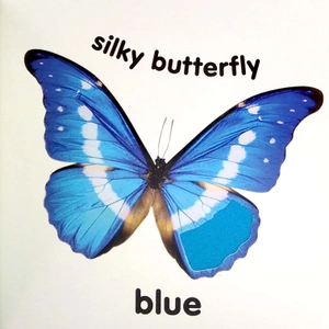 baby touch and feel colours and shapes - Ảnh 4