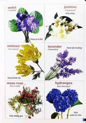 bách khoa bằng hình đầu tiên cho bé 3 - chủ đề các loài hoa, loại củ, rau củ - Ảnh 7