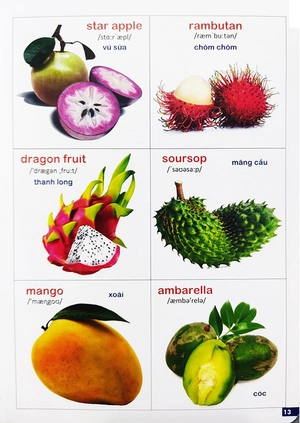 bách khoa bằng hình đầu tiên cho bé 3 - chủ đề các loài hoa, loại củ, rau củ - Ảnh 8