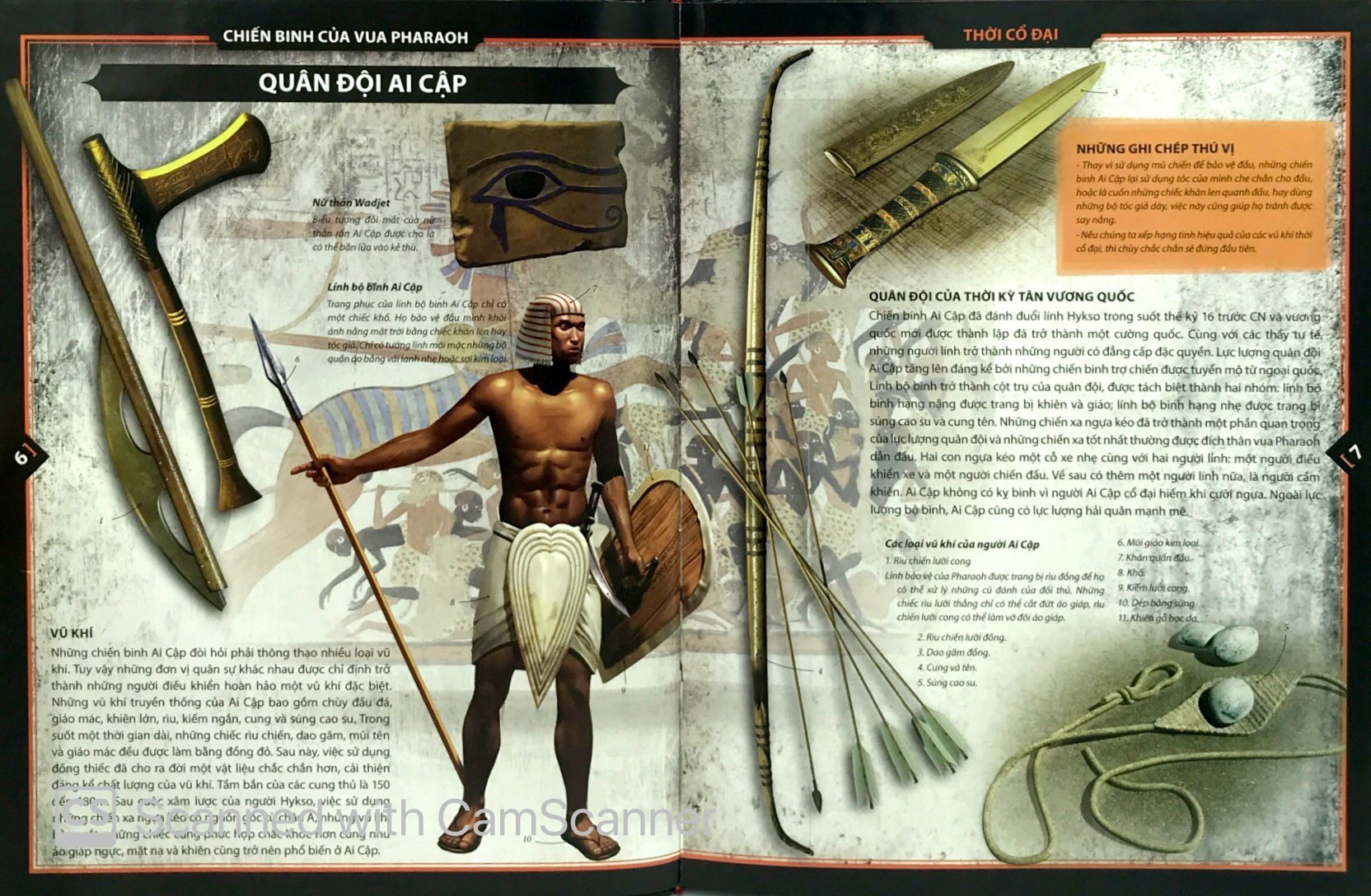 bách khoa bằng tranh - chiến binh (hình minh họa 3d) - Ảnh 3