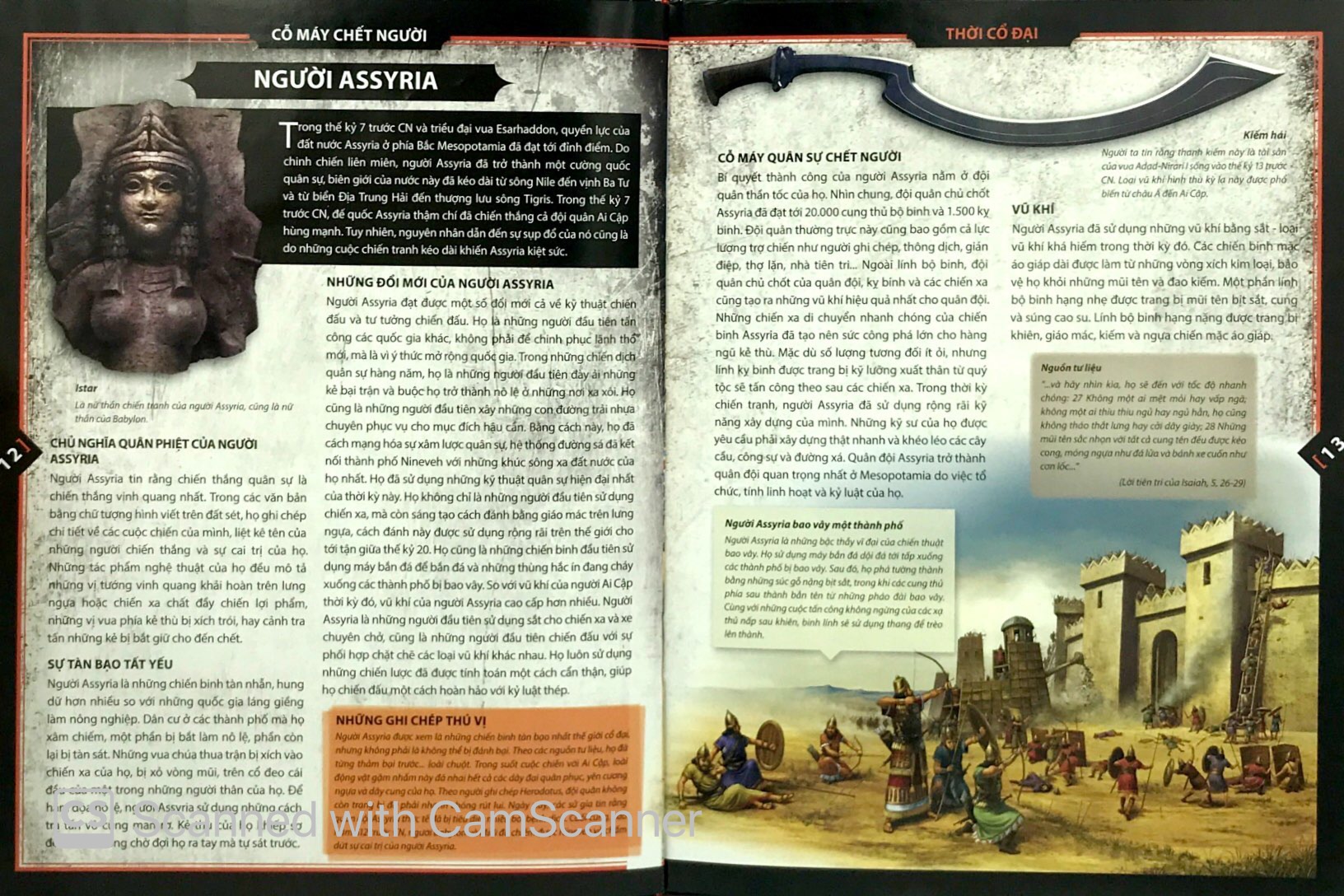 bách khoa bằng tranh - chiến binh (hình minh họa 3d) - Ảnh 6