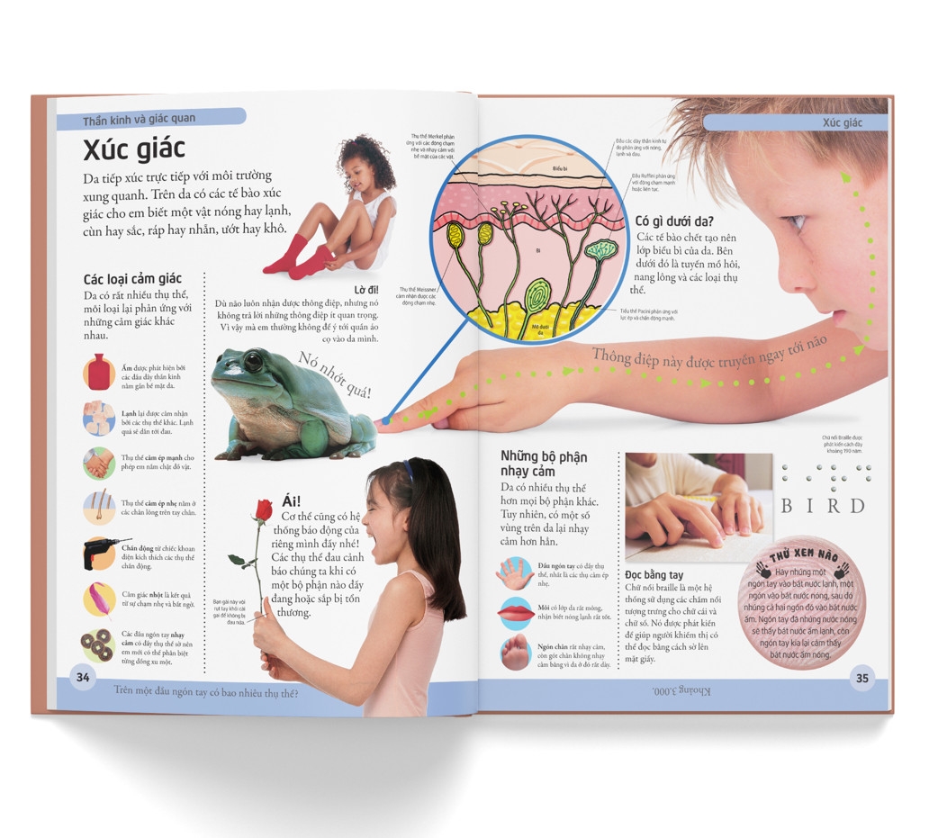 bách khoa cho trẻ em - bách khoa cơ thể người - Ảnh 5