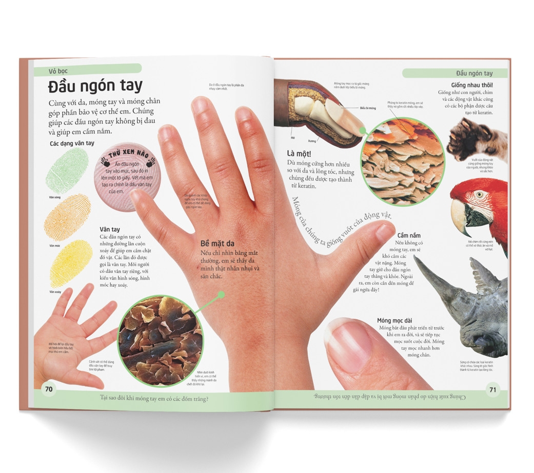 bách khoa cho trẻ em - bách khoa cơ thể người - Ảnh 6