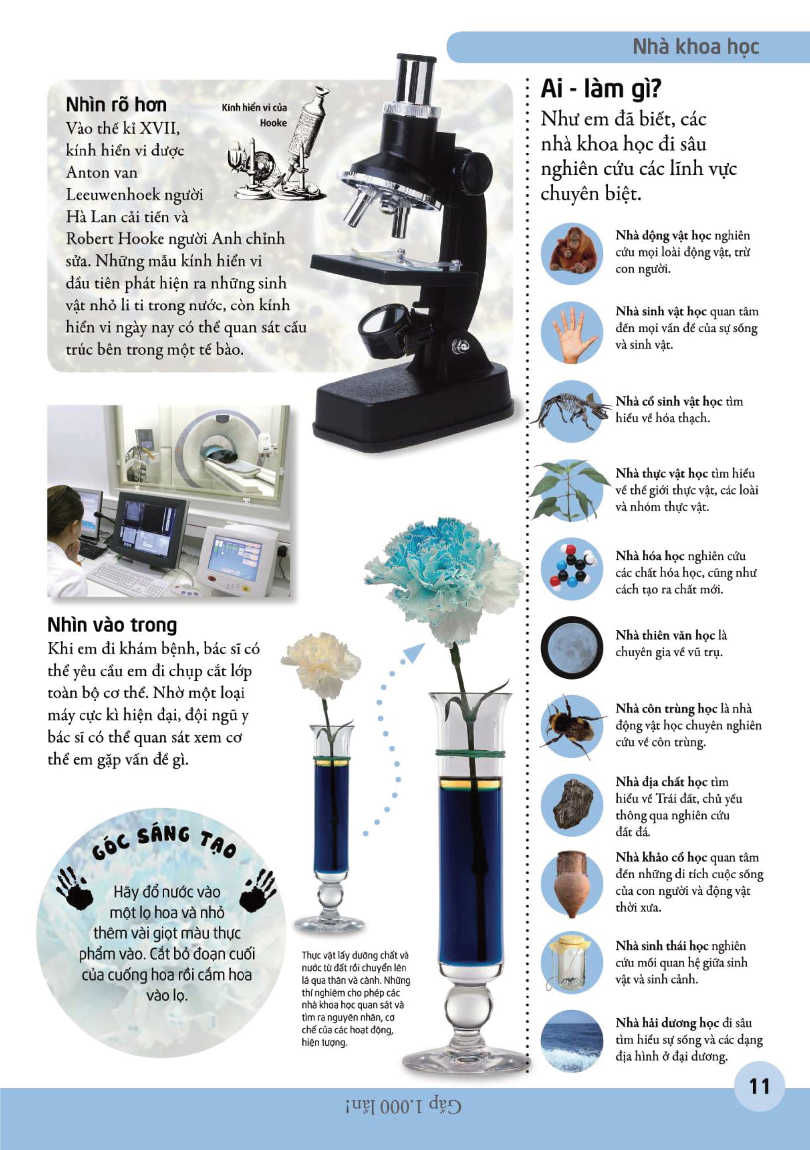 bách khoa cho trẻ em - bách khoa khoa học - Ảnh 11